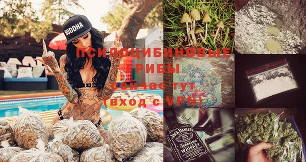 гидра Всеволожск