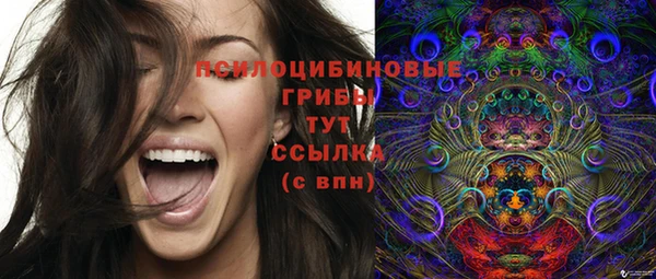 таблы Алексеевка