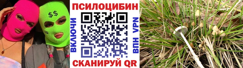 дарнет шоп  MEGA зеркало  Псилоцибиновые грибы Cubensis  Трёхгорный 